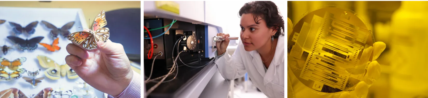 students and research